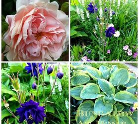 adding curb appeal with perennial gardening, flowers, gardening, perennials