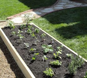 diy raised garden bed, diy, gardening, raised garden beds, woodworking projects, Plant your favorite veggies and herbs