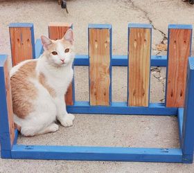 give dad the coolest father s day gift, diy, how to, outdoor living, the kids want to help the cat needs petting It s a zoo around here
