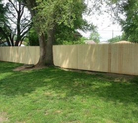 new privacy fence, diy, fences, how to, outdoor living, North side I m a dummy and didn t take before s of this side