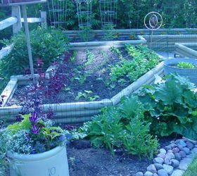 the raised garden i designed and my hubby built, diy, gardening, raised garden beds, woodworking projects, This section has radishes spinach beets carrots and rutabagas in the rows and zucchini squash at the end closest