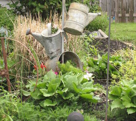 recycled gas can buckets and more, flowers, gardening, repurposing upcycling, upcycle bucket watering cans tub flowers
