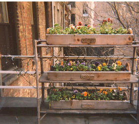 urban hedges part one shelving, flowers, gardening, outdoor living, pets animals, shelving ideas, urban living, Featured in a post on Blogger