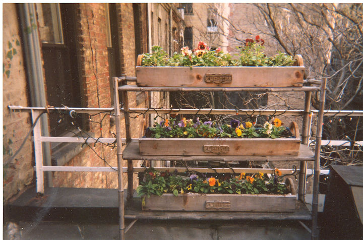 urban hedges part one shelving, flowers, gardening, outdoor living, pets animals, shelving ideas, urban living, Featured in a post on Blogger