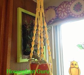 make your houseplants a classy hanger, crafts, gardening