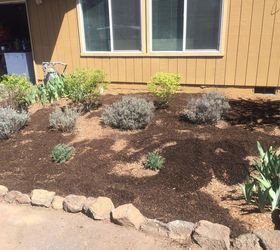 dark mulch miracle flower bed transformation, gardening, landscape, lawn care, outdoor living
