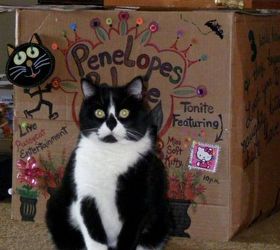 cat home cardboard box, crafts, pets, pets animals, repurposing upcycling