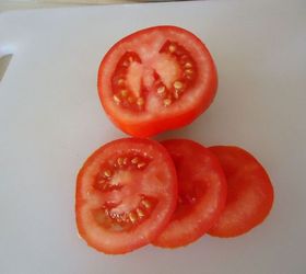i am just one crazy tomato lady, gardening, Early Girl