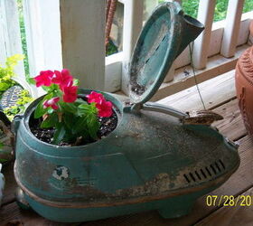 more of my unusual planters, flowers, gardening, repurposing upcycling, Antique vacuum cleaner