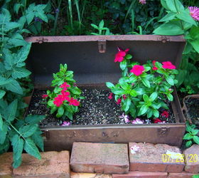 more of my unusual planters, flowers, gardening, repurposing upcycling, Rusted tool box