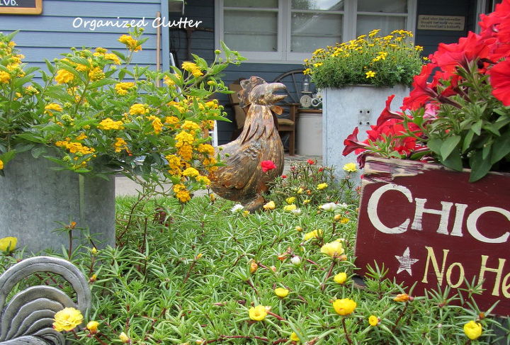 my garden tour 2013, flowers, gardening, outdoor living, repurposing upcycling, succulents, The chicken coop garden
