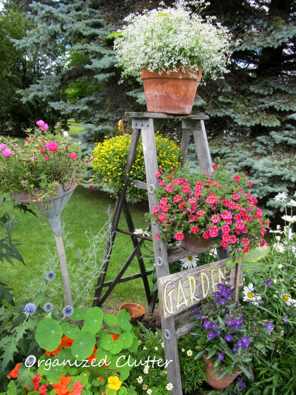 my garden tour 2013, flowers, gardening, outdoor living, repurposing upcycling, succulents, Stepladder in the border