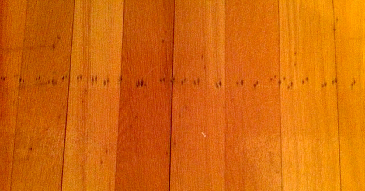 hardwood floor build up | 640 x 469 hardwood floor build up | 640 x 469