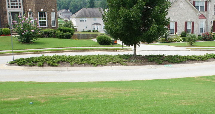 q how can i discourage dogs from using an area, pest control, The island in front of my house