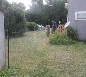 Dog Playground In 5 Hrs Hometalk