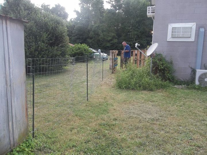 Dog Playground In 5 Hrs Hometalk
