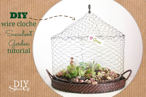 diy wire cloche succulent garden, crafts, flowers, gardening, succulents, terrarium, DIY wire cloche terrarium tutorial