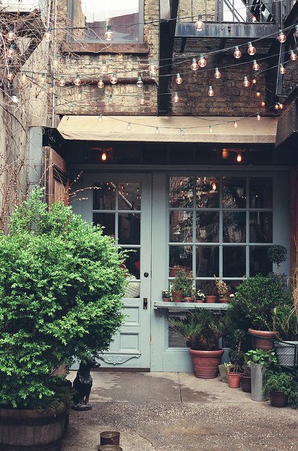 dreamy rustic homes gardens, architecture, curb appeal, Outdoor garden near an urban building