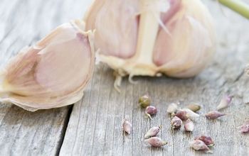 What Do You Do With Garlic Bulbils?