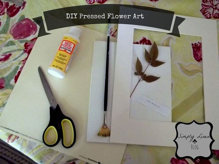 diy pressed flowers, crafts, flowers, gardening, home decor, All my supplies