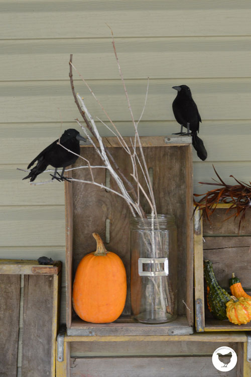piles of beautiful junk for 2013 fall, outdoor living, repurposing upcycling, seasonal holiday decor, sticks jars and black crows seem to be my signature Fall decor