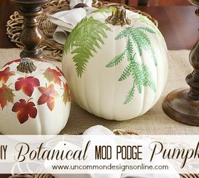 love nature make these botanical pumpkins and bring some inside, crafts, decoupage, seasonal holiday decor, DIY Botanical Pumpkins 2 steps
