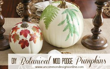 Love Nature? Make These Botanical Pumpkins and Bring Some Inside!