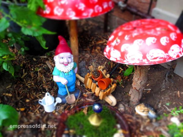 charmed gardens a collection of fairy miniature garden making tips, container gardening, crafts, gardening, terrarium, Gnomes in the garden at Empress of Dirt click this link