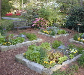 beautiful front yard vegetable garden it s organic too, flowers, gardening, go green, homesteading, A pretty front yard salad garden planted in raised beds edged with stone