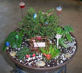 miniature gardening, container gardening, flowers, gardening, The finished garden All of the plants used except the fern flower even the miniature violet