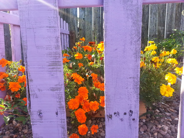 Diy Pallet Picket Fence Fences Gardening How To Painting Diy Pallet Picket Fence Fences Gardening How To Painting