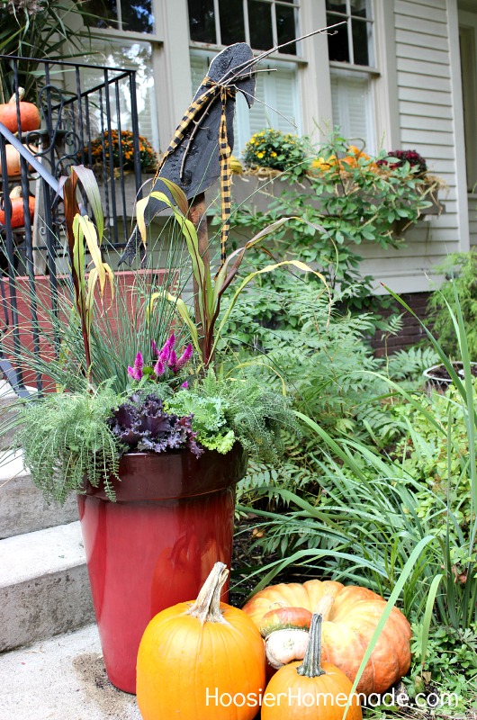 container garden for fall, container gardening, flowers, gardening, perennials, seasonal holiday d cor, Create a Container Garden with Fall plants