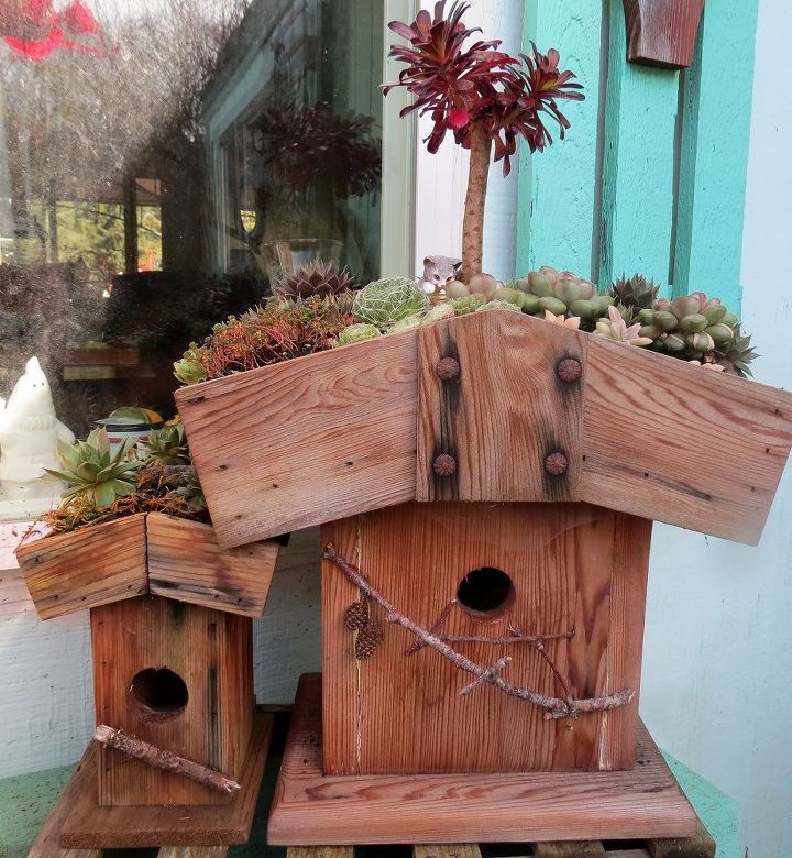 birdhouses, diy, gardening, outdoor living, pets animals, woodworking projects, Many others have followed