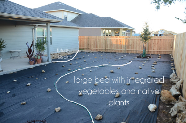 small backyard landscape, gardening, landscape, We plan to use mostly native plants with an integrated veggie garden