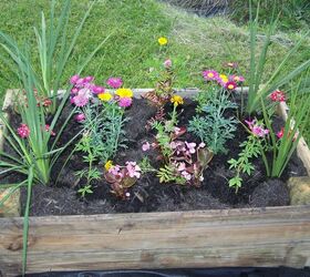 my rock garden 8x4 raised garden reclaimed deck boards, flowers, gardening, outdoor living, raised garden beds