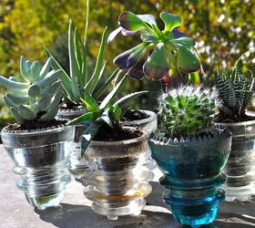 diy reuse glass insulators for succulent planting, flowers, gardening, repurposing upcycling, succulents, The finished product Aren t they fun