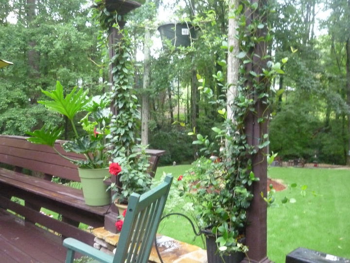 outdoor kitchen deck amp herb garden after lying in the gardens or soaking in, decks, flowers, outdoor living, attached misting systems to pergola so flowers watered w ease
