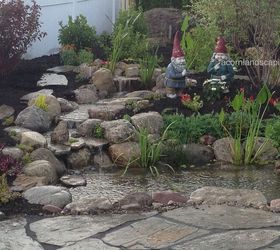 water gardens rochester ny fish ponds, landscape, ponds water features, Check out this gorgeous backyard ecosystem fishpond we did in Brighton NY Monroe County It has LED landscape lighting plantings and more We used an Aquascape filtration system to ensure highest quality of clear water