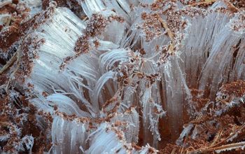 Needle Ice - A Strange Ice Formation on the Homestead