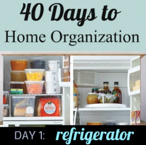 organize a geladeira, Dicas para organizar a geladeira