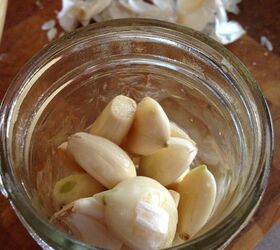 preserving garlic, gardening