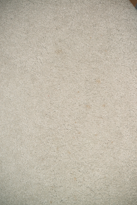 uma maneira livre de produtos qumicos para remover manchas de carpete