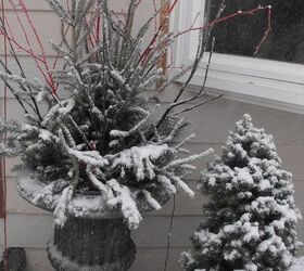garden containers, christmas decorations, container gardening, gardening, seasonal holiday decor, Snow showing off the beautiful branches on the container