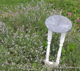 pretty petals from my garden, flowers, gardening, hydrangea, succulents, The birds love to use this sundial surrounded with lavender for a landing spot