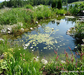 Water Garden or Backyard Pond - Pond Building Instructions ...