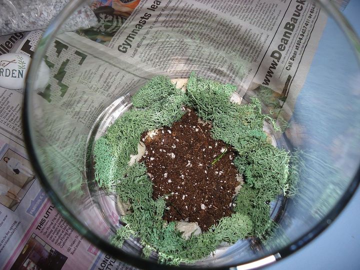 making a terrarium a snow day project, container gardening, crafts, gardening, succulents, terrarium, Moss was added for colour above the layer of stone then soil went in