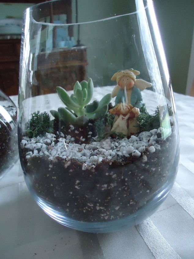making a terrarium a snow day project, container gardening, crafts, gardening, succulents, terrarium, Used succulents in this one