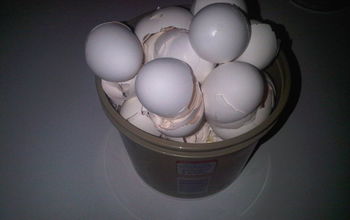 With all the baking that we've done over the holidays, alot of eggs were cracked at my house.