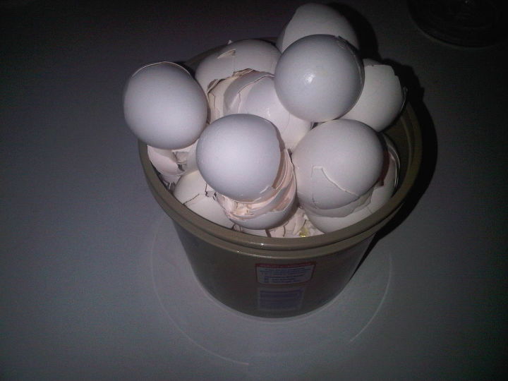 with all the baking that we ve done over the holidays alot of eggs were cracked at, gardening, Place the shells in the bucket