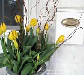 six fabulous spring containers, container gardening, gardening, Add some curly willow to a pot of tulips and you have instant height and interest